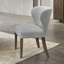 Chaise d'appoint Dillon (lot de 2)