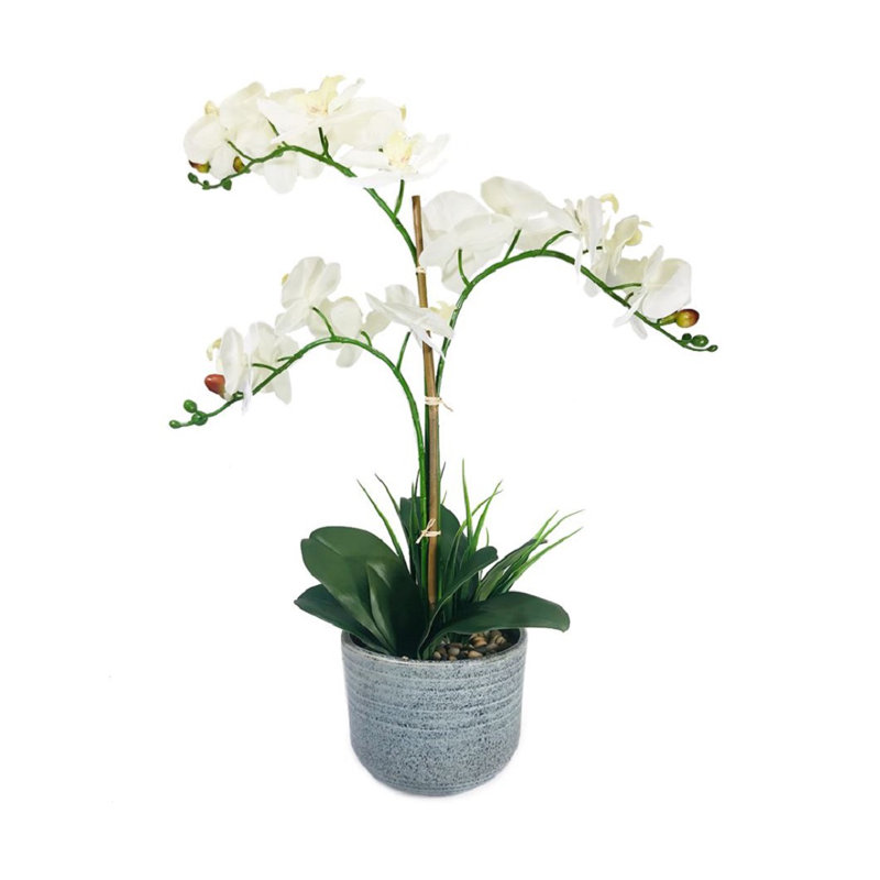 Orchidées artificielles en pot