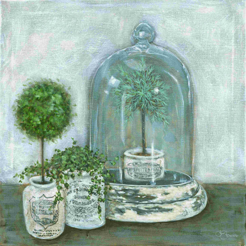Petits topiaires, H 12 po x l 12 po