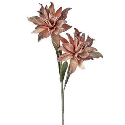 Dahlia vaporisateur