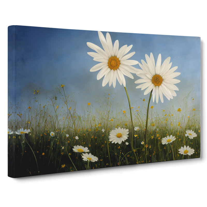 Engaging Daisy Flowers - Wrapped Canvas