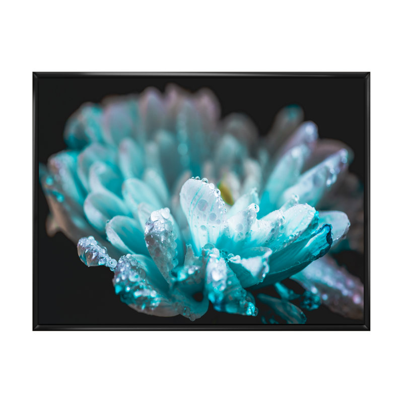 «Blue Daisy Flower In Morning Dew», reproduction sur toile flottante, H 24 po x l 36 po x P 1 po, Cadre flottant noir