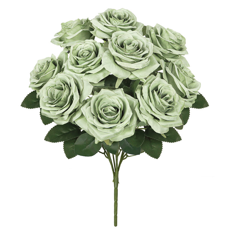 Grand rosier Jaafer Deluxe, Vert sauge