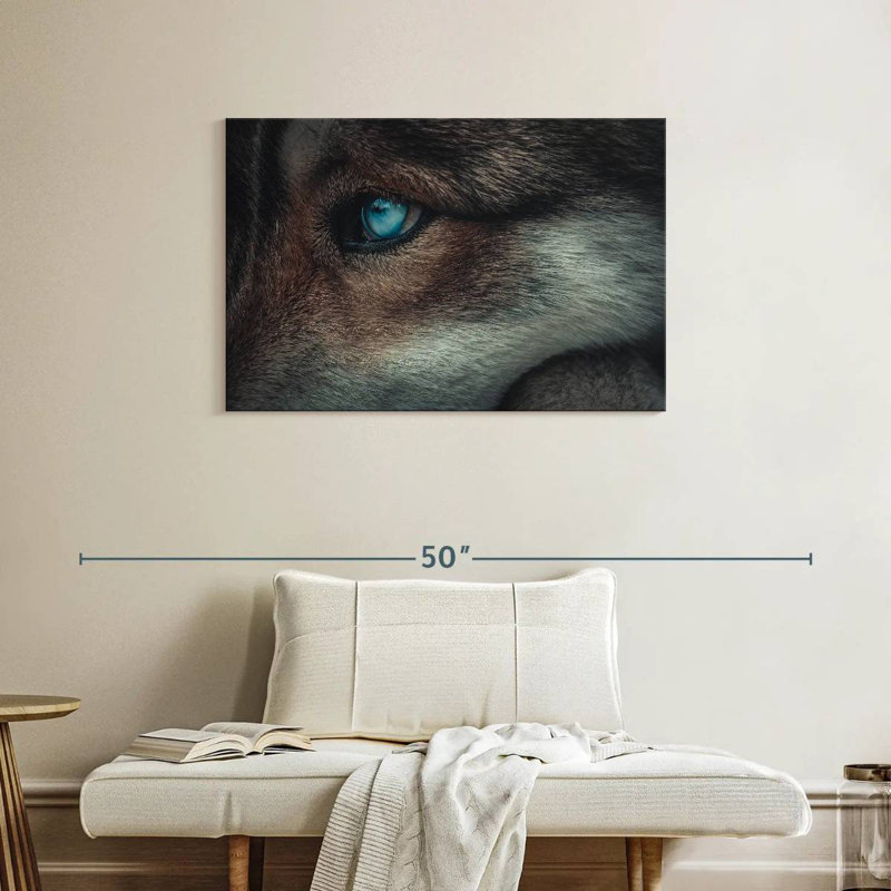 Loup aux yeux bleus