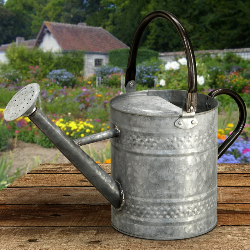 Arrosoir de jardin antique 16 "Chrisie