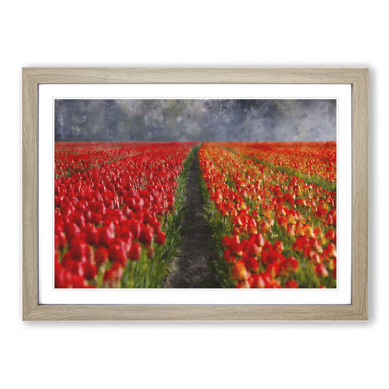 Field of Tulips - Framed Print, 36cm H x 48cm W x 2cm D, Oak Framed