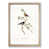 Oak Framed selected