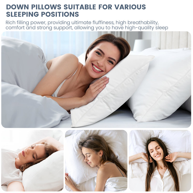 Oreiller en duvet d'oie, King
