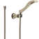 Dryden Single-Spray Wall Mount Hand Held Shower with Hose