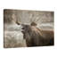 Winter's Day by Kimberly Allen - Wrapped Canvas Print-997937702