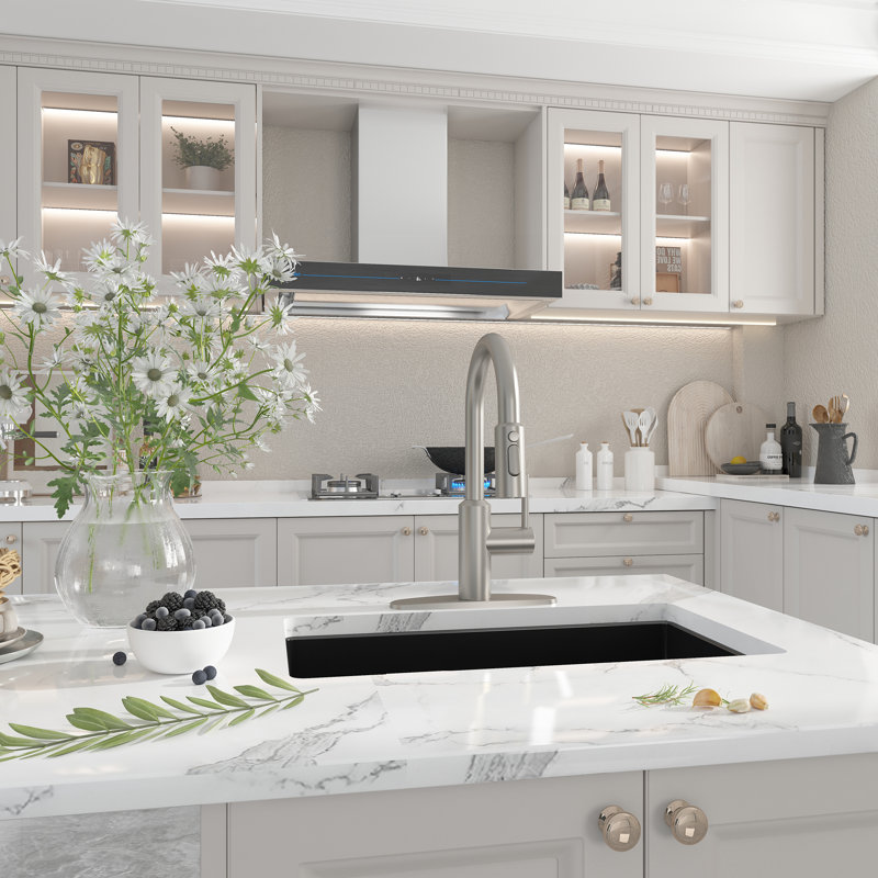 Boyel Living Kitchen Faucet Side Spray, Brushed Nickel