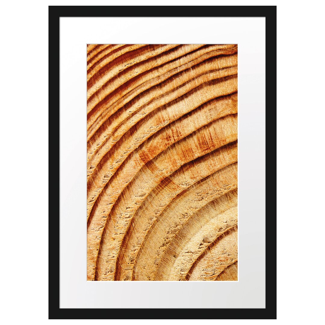 Gerahmter Fotodruck Tree Trunk Rings