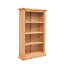 Mickel 120cm H Standard Bookcase-260733871-260733856