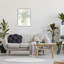 «Baby's Breath», art botanique par giclée par Carol Robinson-833870399-833870396