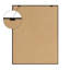 Ensemble de 2 toiles encadrées Sylvie Neutral Botanical-1388715246