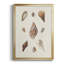 Knorr Shells & Coral IX, reproduction encadrée de qualité supérieure - prête à être accrochée-88272344-88272349
