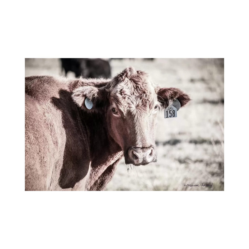 Number 158 by Melissa Hanley - Wrapped Canvas Print, 101.6 cm H x 66.04 cm W x 1.91 cm D