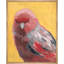 Bird Watching V Print by Ryan Brown-1033651590