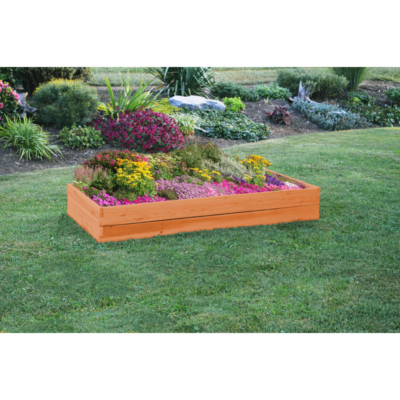 Lit de jardin surélevé en bois 6 pi x 3 pi Buckingham, Teinture cèdre