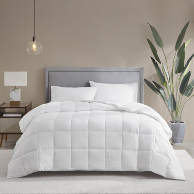 Warmth White 300 TC Cotton Sateen 3M Thinsulate Down Alternative Hypoallergenic Full/Queen Comforter