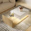 Solid Coffee Table with Storage-306028880
