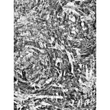 BLACK TEA BLACK TEA - Unframed Print on Canvas