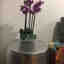 Photos des clients 1 de 1