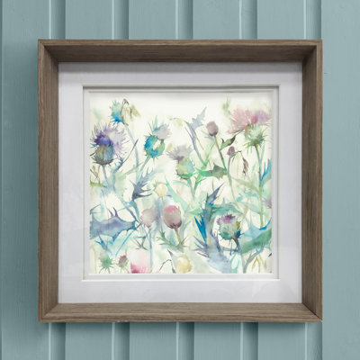 Cirsium Cirsium Damson - Single Picture Frame Print