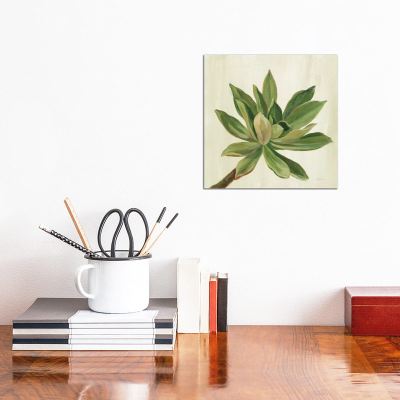 «Front Yard Succulent I» par Silvia Vassileva - reproduction d'art, Toile tendue, Pas de tapis, H 12 po x l 12 po x P 1,5 po