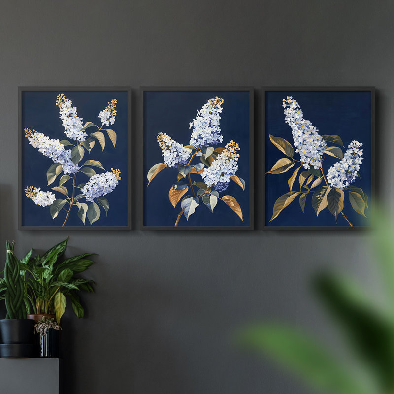 Série d'étude florale - Ensemble de 3 estampes numériques - Prêt à accrocher, H 14 po x l 33 po, Noir, noir, noir, noir