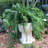 Muggly's Grumpy Gramps Face Statue-1925864984-1925864982