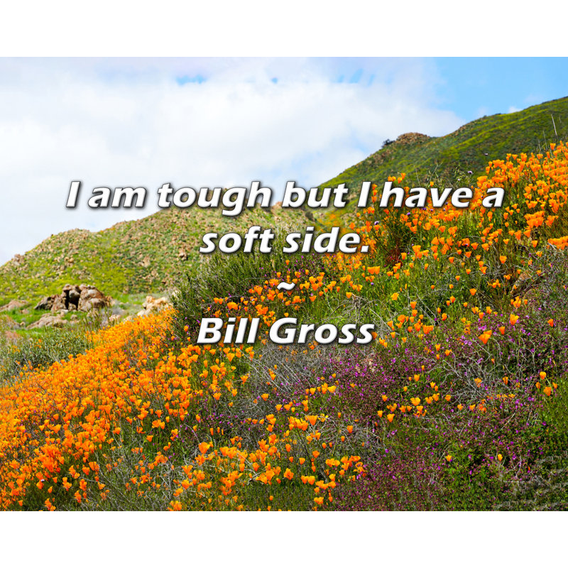 Citation artistique «Je suis coriace mais j'ai un côté doux». Toile tendue par Bill Gross Gallery, H 17 po x l 24 po