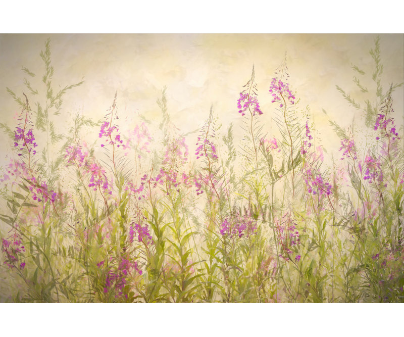 Wrapped Canvas Print, 60.96 cm H x 91.44 cm W