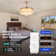 Emerito 42'' Ceiling Fan with LED Lights