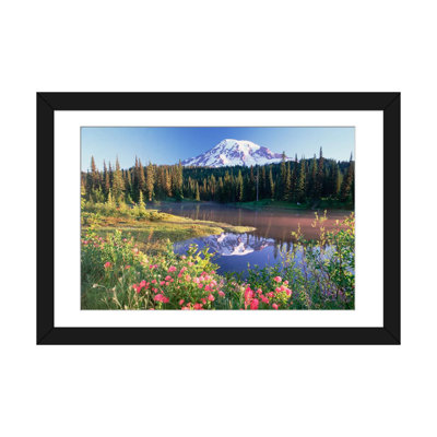 «Mt Rainier and Wildflowers at Reflection Lake, Mt Rainier National Park, Washington» par Tim Fitzharris, ensemble de raisins simples