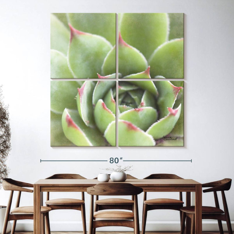 Harnek Garden Succulents III
