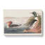 Goosander Ducks - Wrapped Canvas Painting-55366232