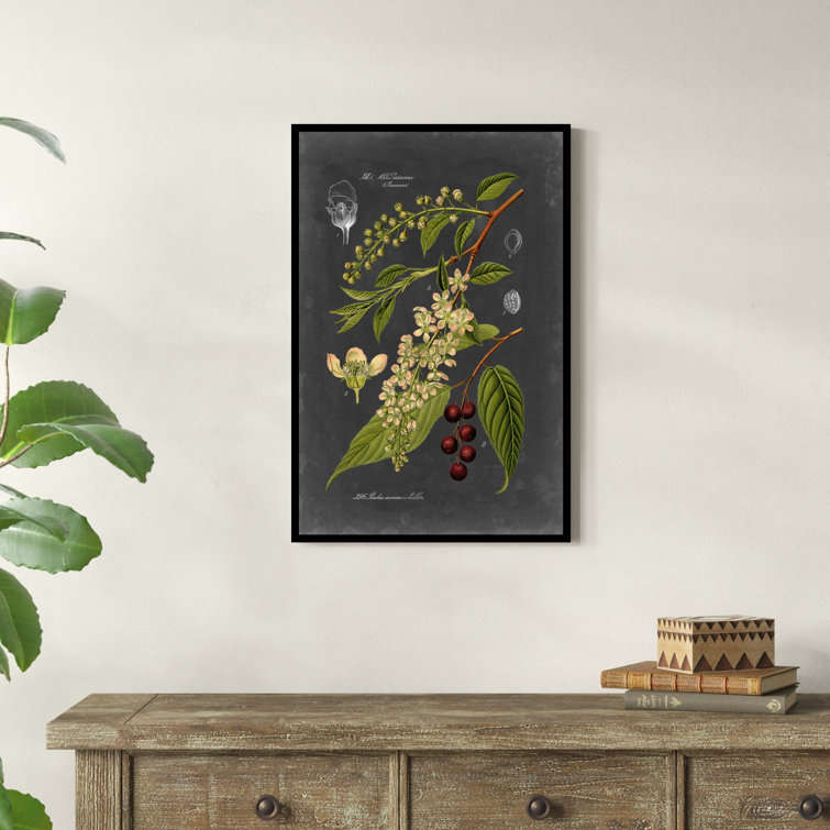 Union Rustic Midnight Botanical II On Canvas by Vision Studio Print &  Reviews