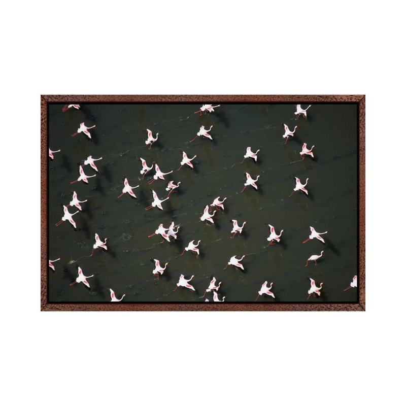 Lesser Flamingo Flock Taking Flight From The Surface Of A Lake, Kenya II by Tim Fitzharris - Gallery-Wrapped Canvas Giclée on Canvas