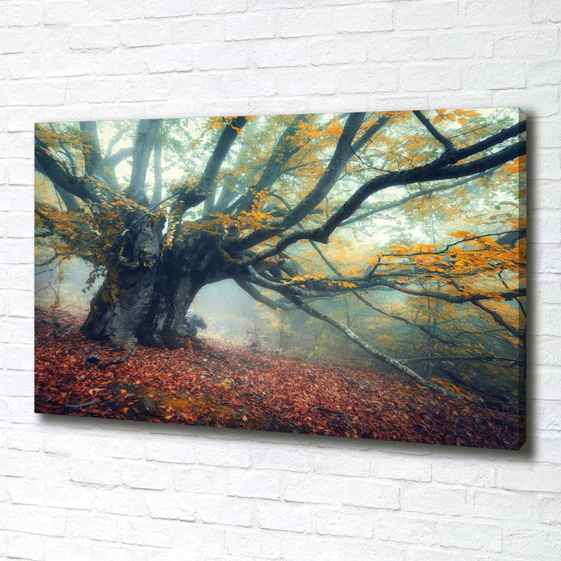 Old Tree - Wrapped Canvas Print