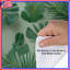 Housses de couette feuilles de palmier tropicales-125060110