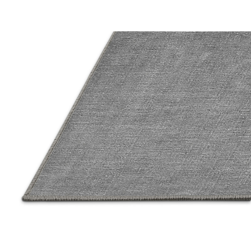 Tapis gris en chenille / polyester tissé à la machine Concannon, Rectangle 4 pi x 6 pi