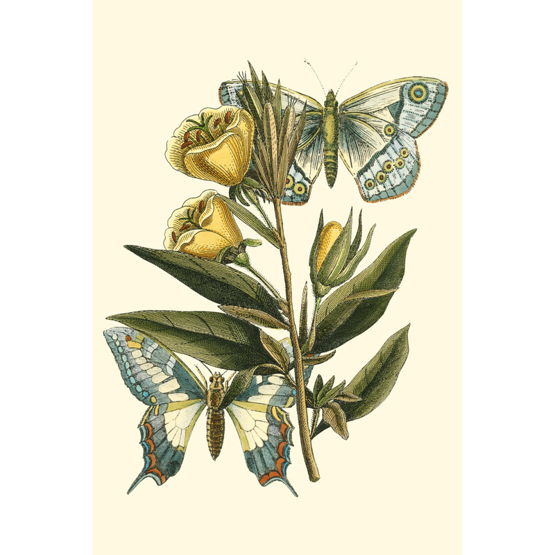 " Butterfly Oasis II " Painting Print, 12" H x 8" W x 1.25" D