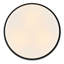 Hinkley Cedric Flush Mount Flat-108493421