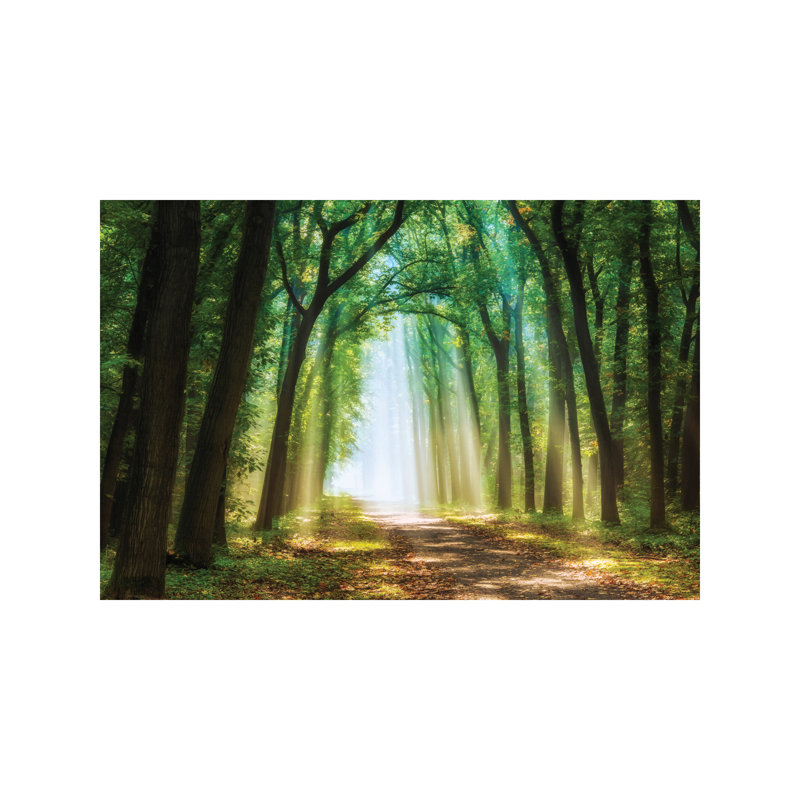 Lars Van De Goor - Wrapped Canvas Print, 101.6 cm H x 66.04 cm W x 3.175 cm D