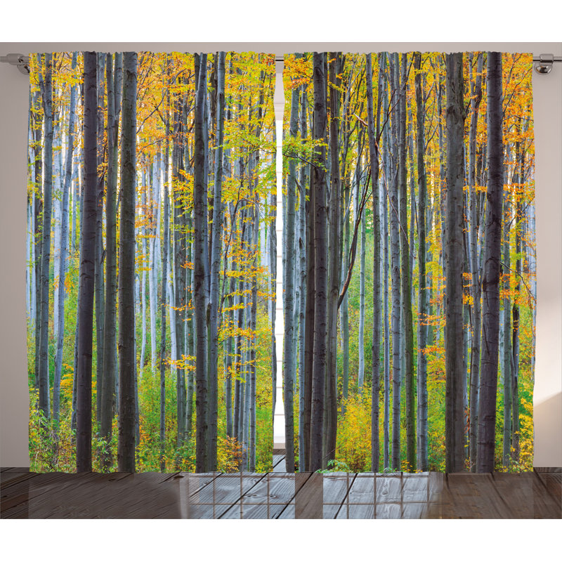 Orionis Semi Sheer Curtain Pair, 54" x 108"