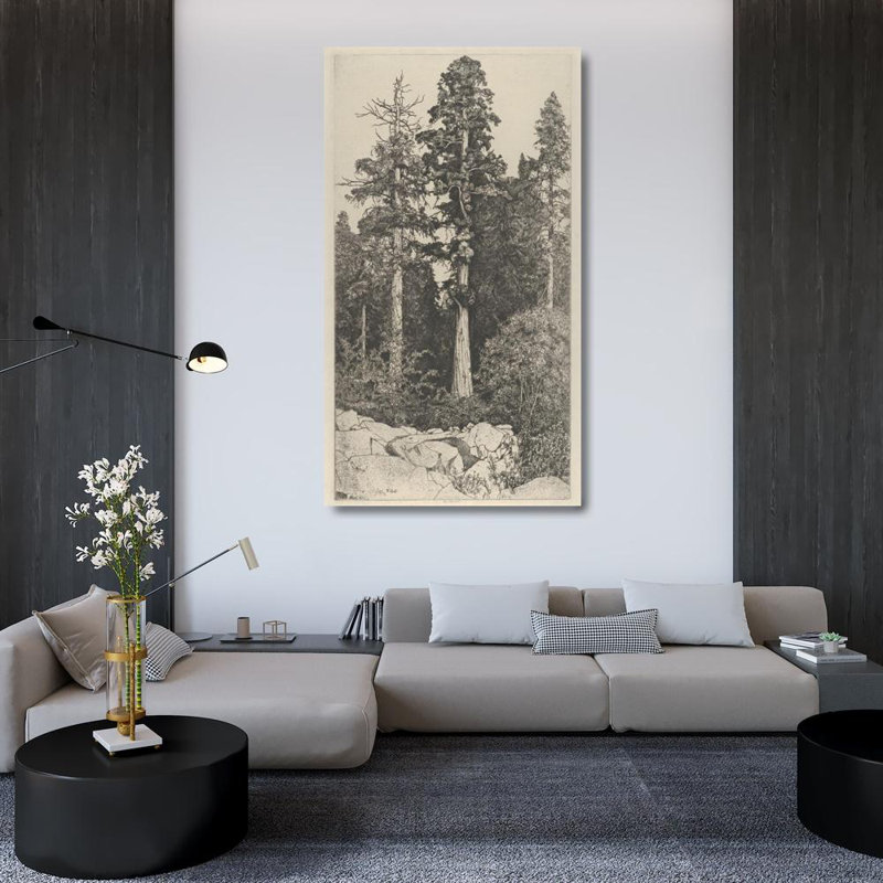 «Baby Sequoia» par Ernest Haskell - Art mural sur toile tendue avec châssis, H 48 po x l 33 po