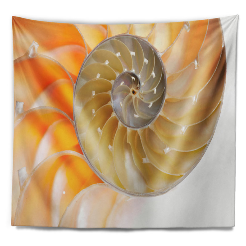 Tapisserie conautilusy isolated shell avec accessoires suspendus inclus, H 32 po x l 39 po