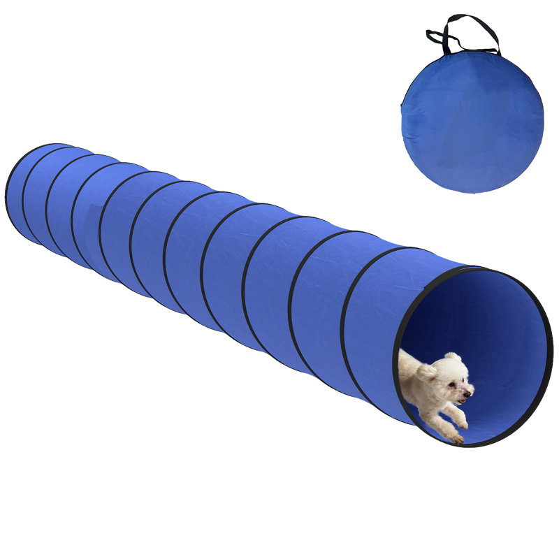 Dog Agility, 60cm H x 60cm W x 60cm D