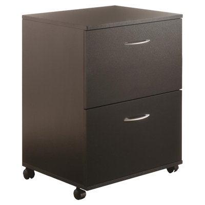 18.6'' Wide 2 -Drawer Mobile File Cabinet